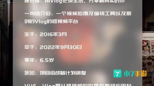 vue下载