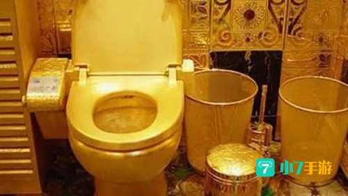 黄金 厕纸