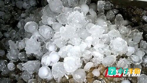 冰雹哪里掉