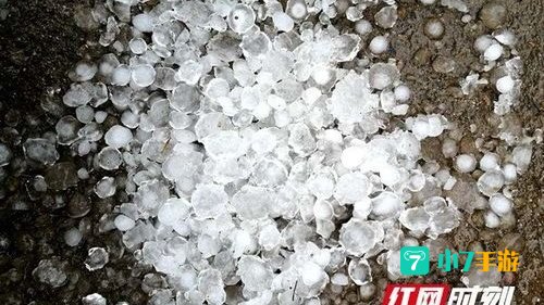 冰雹哪里掉